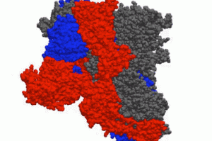 全国疫情地区实时动态图/全国疫情地区实时查询