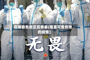 在哪看各地区疫情表(哪里可查各地的疫情)