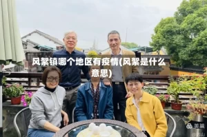 风絮镇哪个地区有疫情(风絮是什么意思)