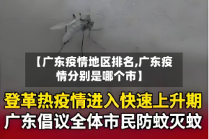 【广东疫情地区排名,广东疫情分别是哪个市】