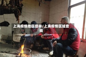 上海疫情地区田林/上海疫情区域查询
