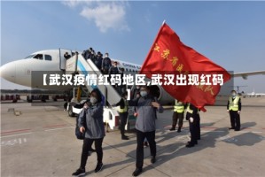【武汉疫情红码地区,武汉出现红码】