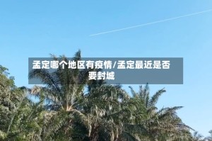 孟定哪个地区有疫情/孟定最近是否要封城