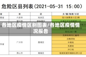 各地区疫情区别图表/各地区疫情情况报告