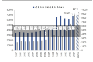 疫情地区债务问题有哪些(疫情 债务)