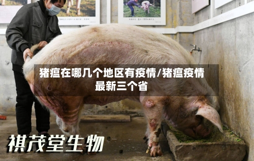 猪瘟在哪几个地区有疫情/猪瘟疫情最新三个省-第2张图片