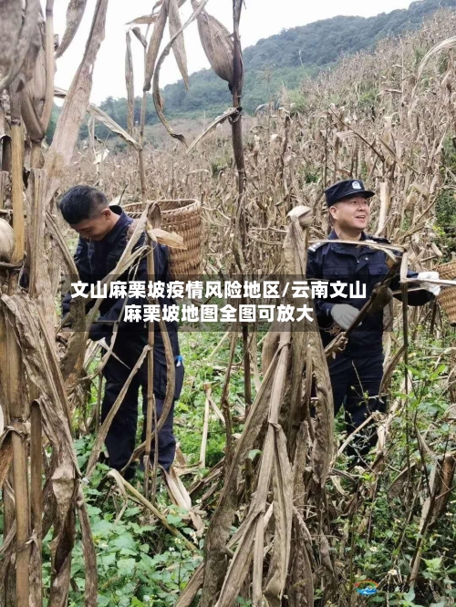 文山麻栗坡疫情风险地区/云南文山麻栗坡地图全图可放大-第2张图片