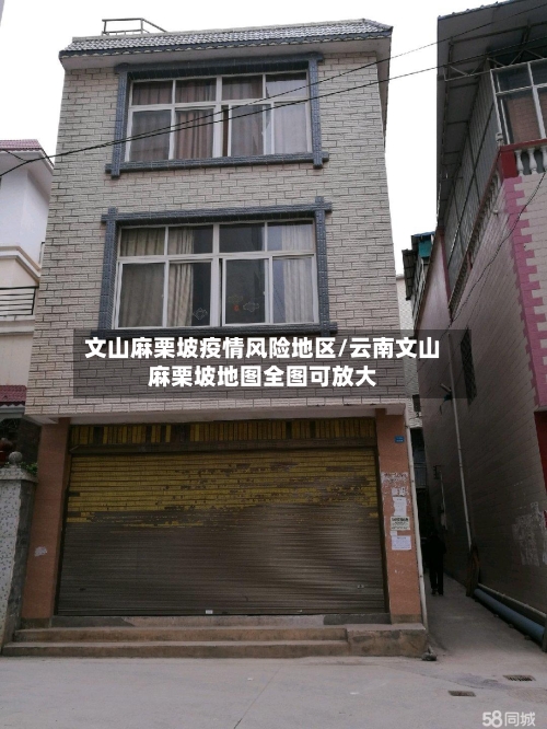 文山麻栗坡疫情风险地区/云南文山麻栗坡地图全图可放大-第1张图片