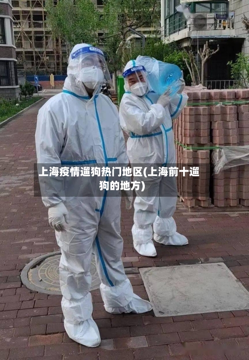 上海疫情遛狗热门地区(上海前十遛狗的地方)-第2张图片