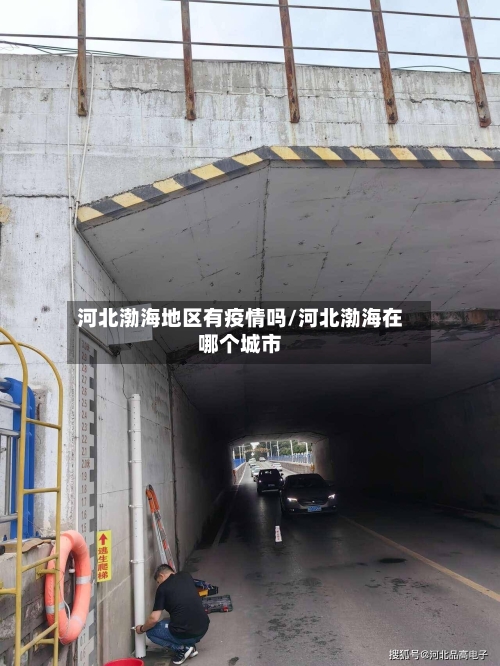 河北渤海地区有疫情吗/河北渤海在哪个城市-第3张图片