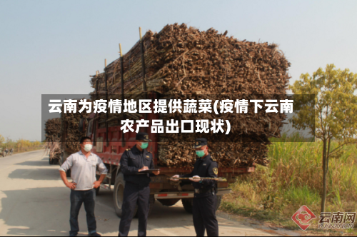 云南为疫情地区提供蔬菜(疫情下云南农产品出口现状)-第2张图片