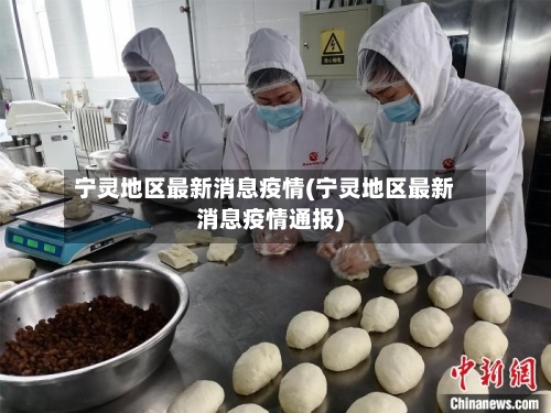 宁灵地区最新消息疫情(宁灵地区最新消息疫情通报)-第1张图片