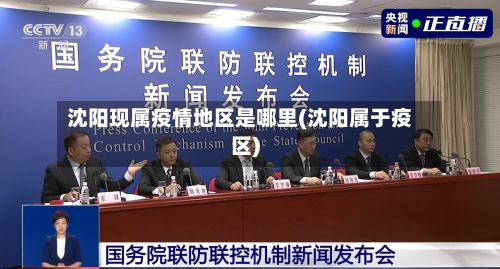 沈阳现属疫情地区是哪里(沈阳属于疫区)-第1张图片