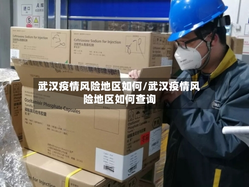 武汉疫情风险地区如何/武汉疫情风险地区如何查询-第1张图片