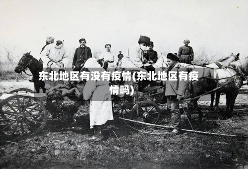 东北地区有没有疫情(东北地区有疫情吗)-第3张图片