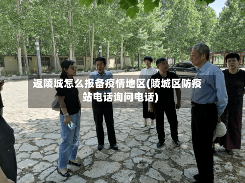 返陵城怎么报备疫情地区(陵城区防疫站电话询问电话)-第1张图片