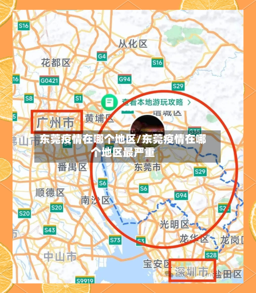 东莞疫情在哪个地区/东莞疫情在哪个地区最严重-第2张图片