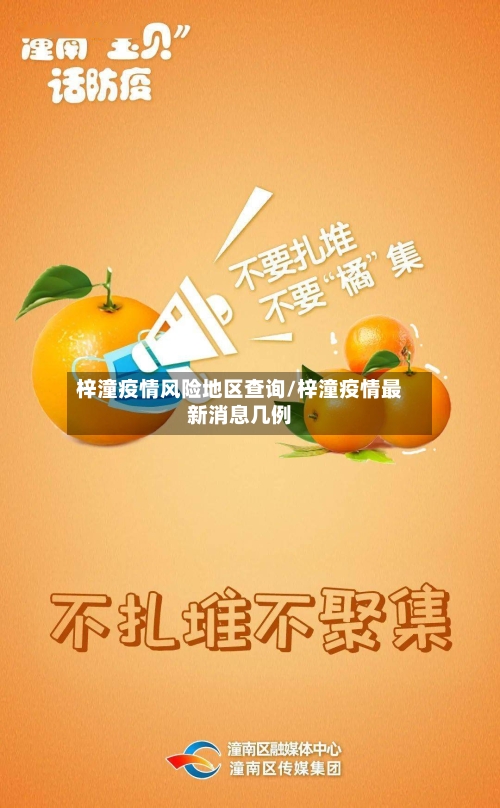 梓潼疫情风险地区查询/梓潼疫情最新消息几例-第1张图片