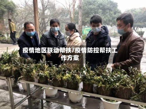 疫情地区联动帮扶/疫情防控帮扶工作方案-第3张图片