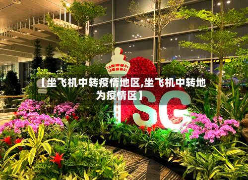 【坐飞机中转疫情地区,坐飞机中转地为疫情区】-第2张图片