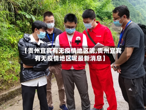 【贵州宜宾有无疫情地区呢,贵州宜宾有无疫情地区呢最新消息】-第2张图片