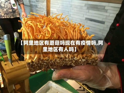 【阿里地区有蘑菇吗现在有疫情吗,阿里地区有人吗】-第2张图片