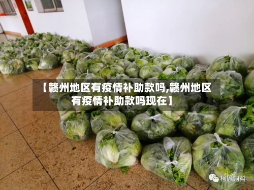 【赣州地区有疫情补助款吗,赣州地区有疫情补助款吗现在】-第2张图片