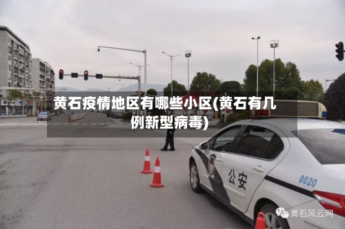 黄石疫情地区有哪些小区(黄石有几例新型病毒)-第1张图片