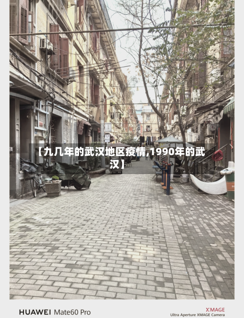 【九几年的武汉地区疫情,1990年的武汉】-第3张图片