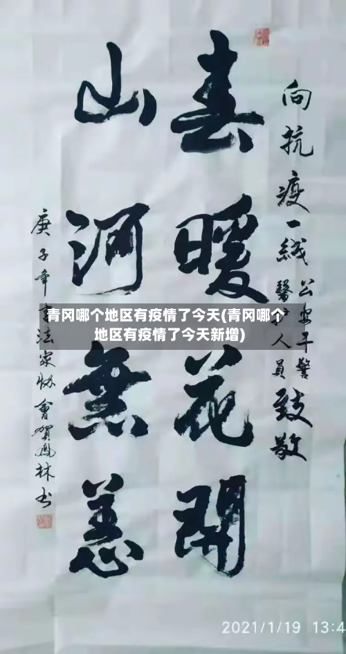青冈哪个地区有疫情了今天(青冈哪个地区有疫情了今天新增)-第2张图片