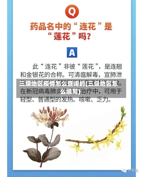 三级地区疫情怎么查询的(三级地区怎么填写)-第2张图片