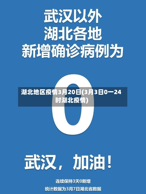湖北地区疫情3月20日(3月3日0一24时湖北疫情)-第2张图片
