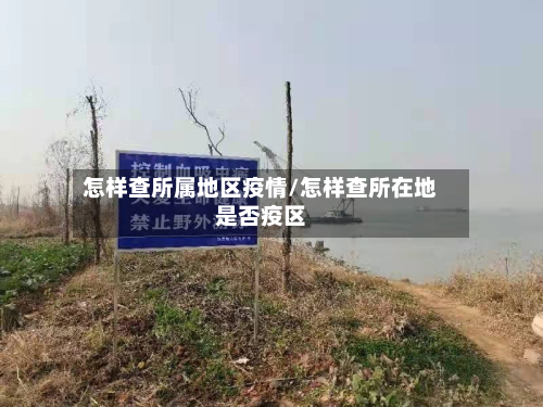 怎样查所属地区疫情/怎样查所在地是否疫区-第2张图片