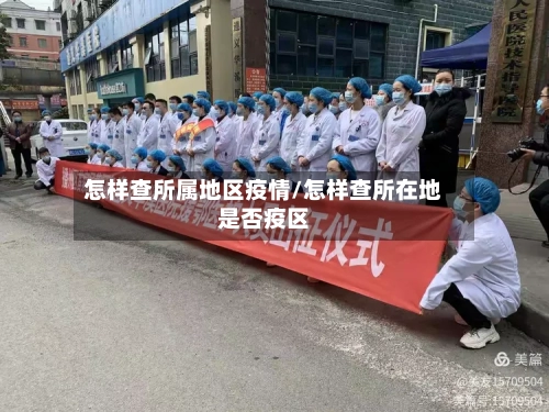 怎样查所属地区疫情/怎样查所在地是否疫区-第1张图片