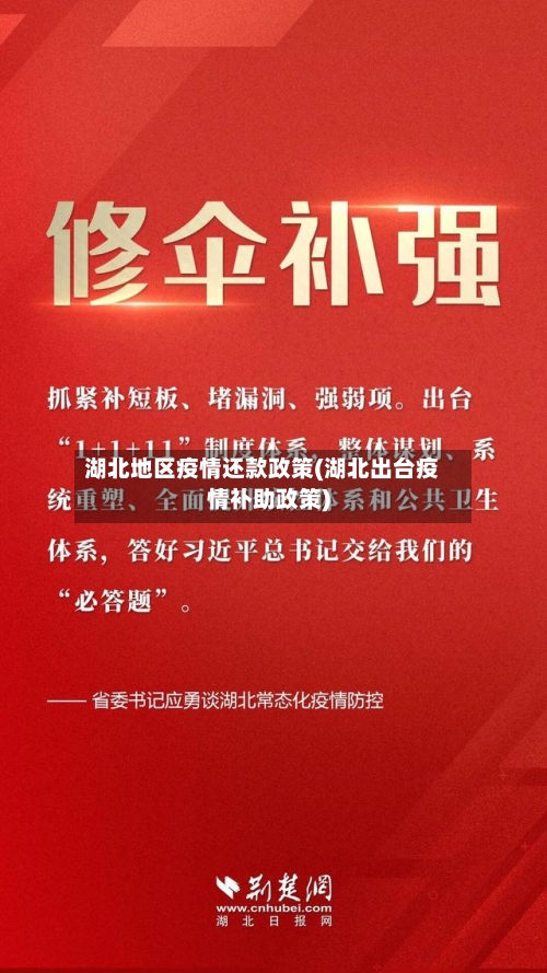 湖北地区疫情还款政策(湖北出台疫情补助政策)-第1张图片