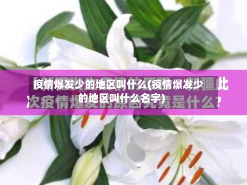 疫情爆发少的地区叫什么(疫情爆发少的地区叫什么名字)-第1张图片