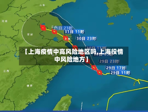 【上海疫情中高风险地区吗,上海役情中风险地方】-第2张图片