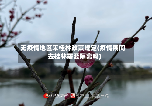 无疫情地区来桂林政策规定(疫情期间去桂林需要隔离吗)-第2张图片