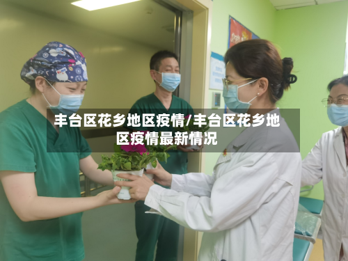 丰台区花乡地区疫情/丰台区花乡地区疫情最新情况-第1张图片