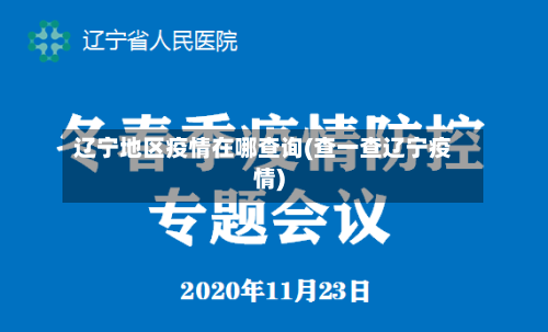 辽宁地区疫情在哪查询(查一查辽宁疫情)-第1张图片