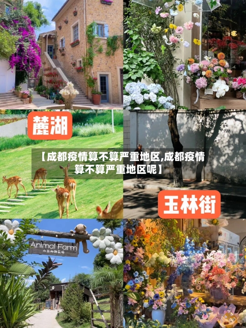 【成都疫情算不算严重地区,成都疫情算不算严重地区呢】-第1张图片