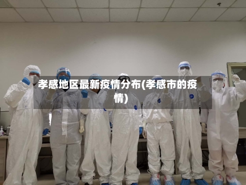 孝感地区最新疫情分布(孝感市的疫情)-第1张图片