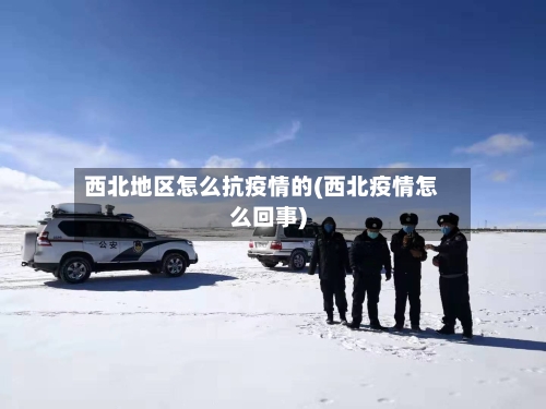 西北地区怎么抗疫情的(西北疫情怎么回事)-第1张图片
