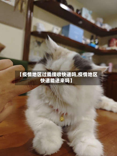 【疫情地区过能接收快递吗,疫情地区快递能进来吗】-第3张图片