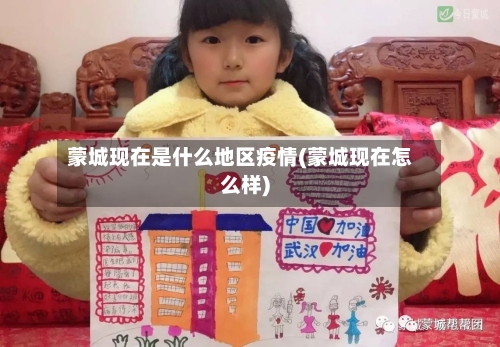 蒙城现在是什么地区疫情(蒙城现在怎么样)-第2张图片