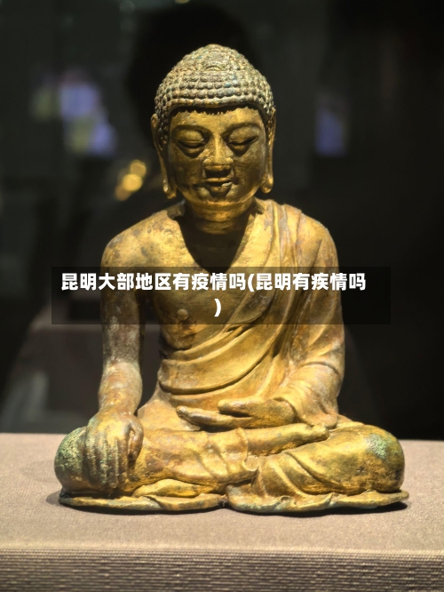 昆明大部地区有疫情吗(昆明有疾情吗)-第3张图片