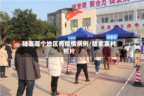 陆寨哪个地区有疫情病例/陆家寨村照片-第1张图片