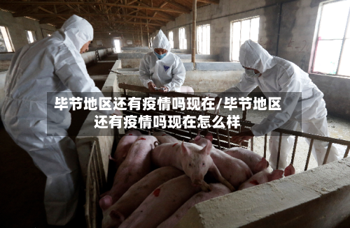 毕节地区还有疫情吗现在/毕节地区还有疫情吗现在怎么样-第1张图片