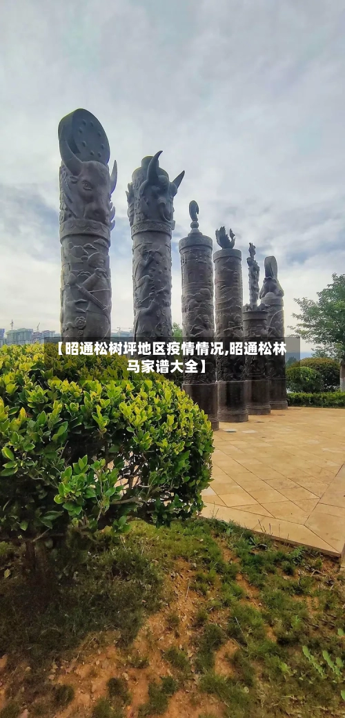 【昭通松树坪地区疫情情况,昭通松林马家谱大全】-第1张图片