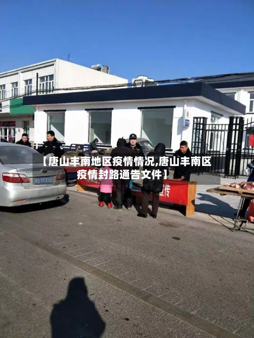 【唐山丰南地区疫情情况,唐山丰南区疫情封路通告文件】-第1张图片